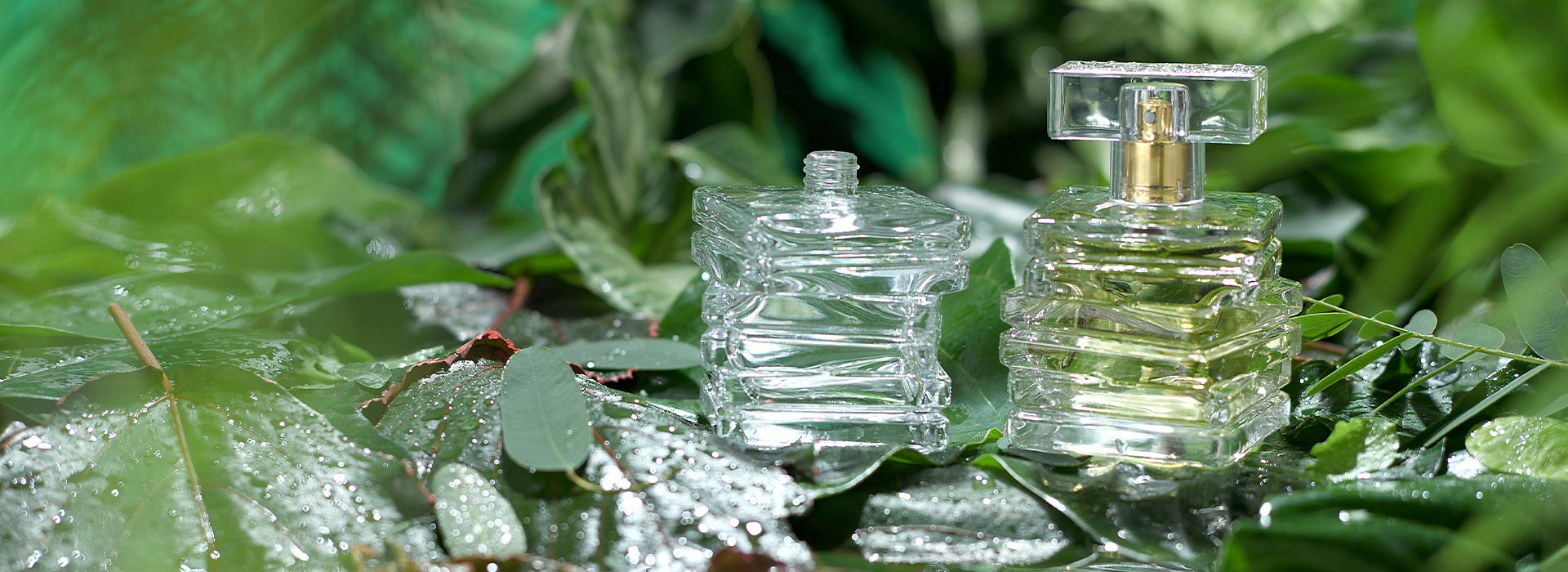 Linha mais sustentável, com design elegante e funcional, para promover a economia circular.