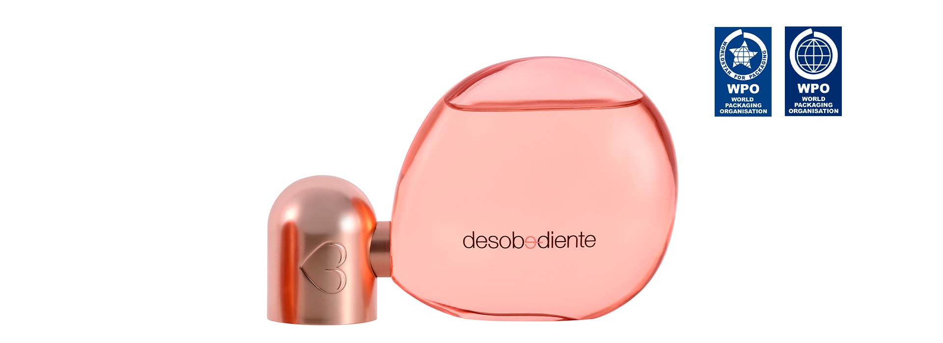 premios-slide-desobediente